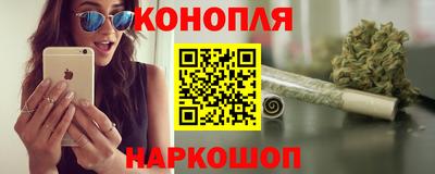 сатива Прокопьевск